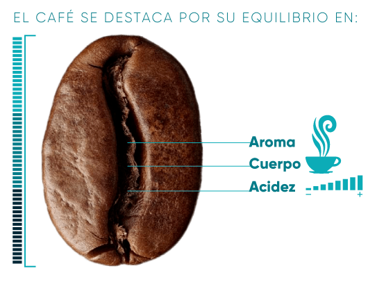 Equilibrio en el café